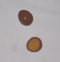 Some Soy Quail Eggs